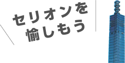 セリオンを愉しもう